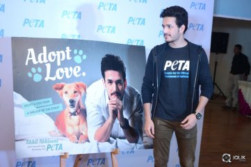 Akhil Akkineni at Peta Event